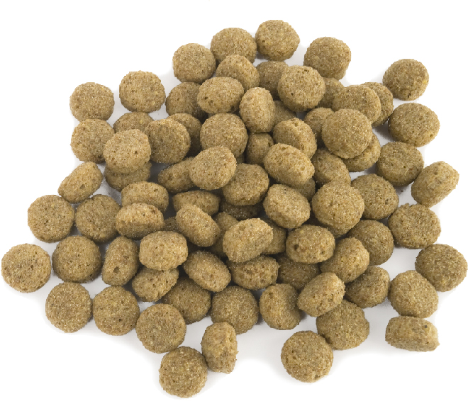 Dark brown pet food with pieces of chicken, salmon and peas.