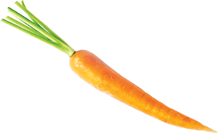 A carrot.