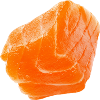 A cube shaped cut of salmon.