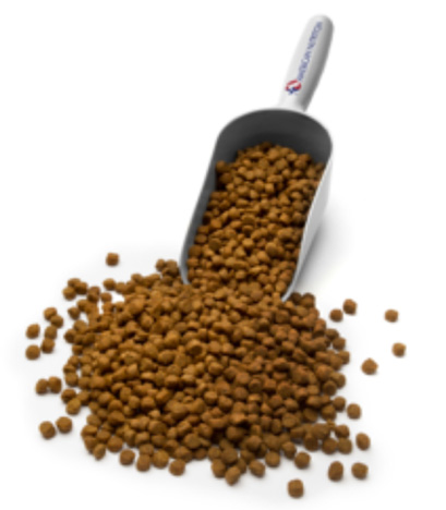 Brown pet food spilling out of a metal scooper.