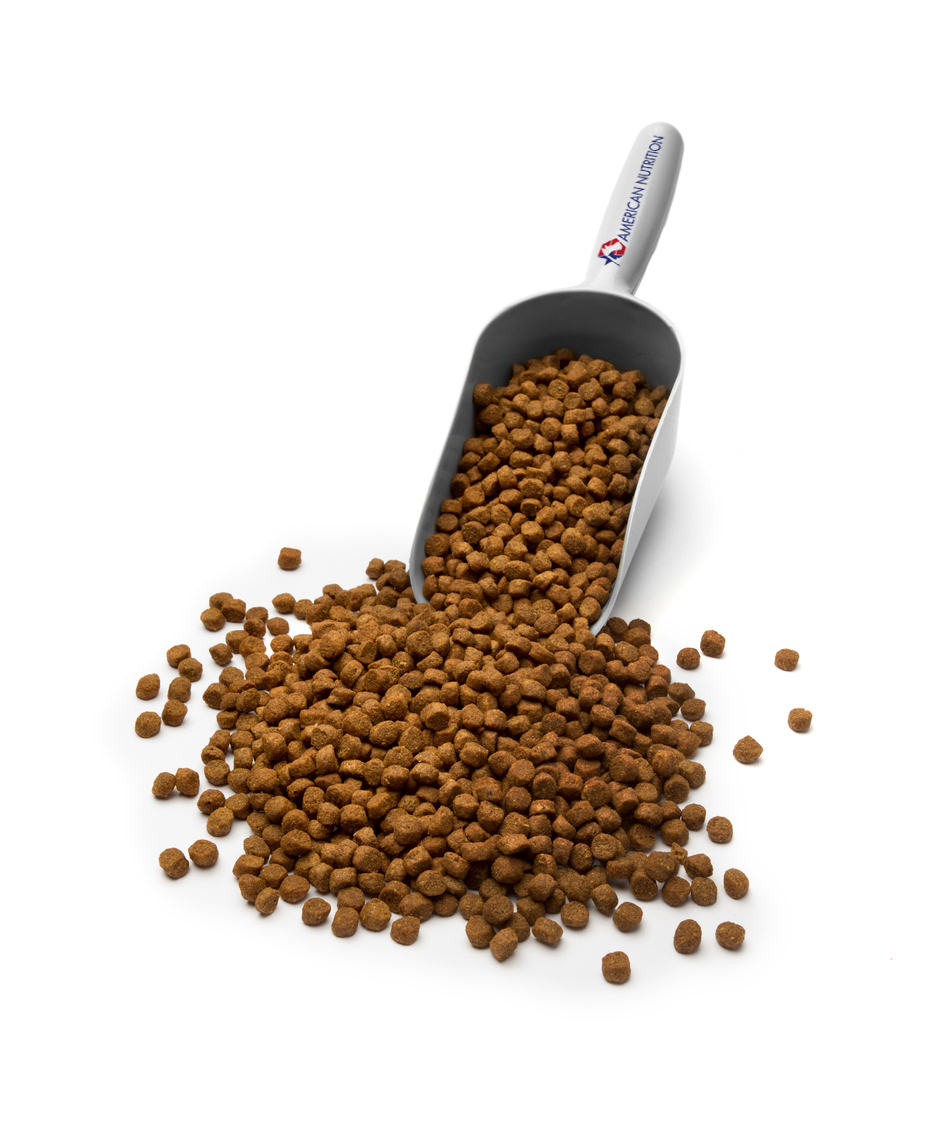 ANI food scoop with pile of pet food