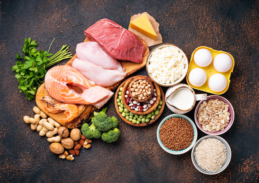 2020 Pet Food Trends: 6 Ways Manufacturers are Using Protein - Alphia