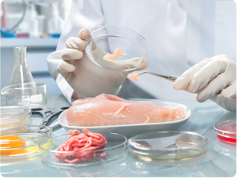 Food lab with chicken breast on a plate and ground beef in a glass dish.