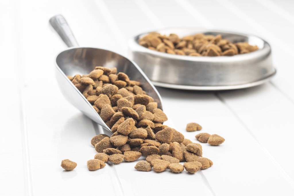 Metal scooper with pet food spilling out in front of a metal bowl of pet food.