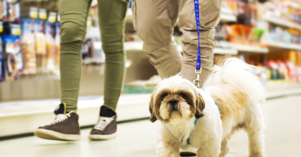 A dog on a leash being walked in a pet store.