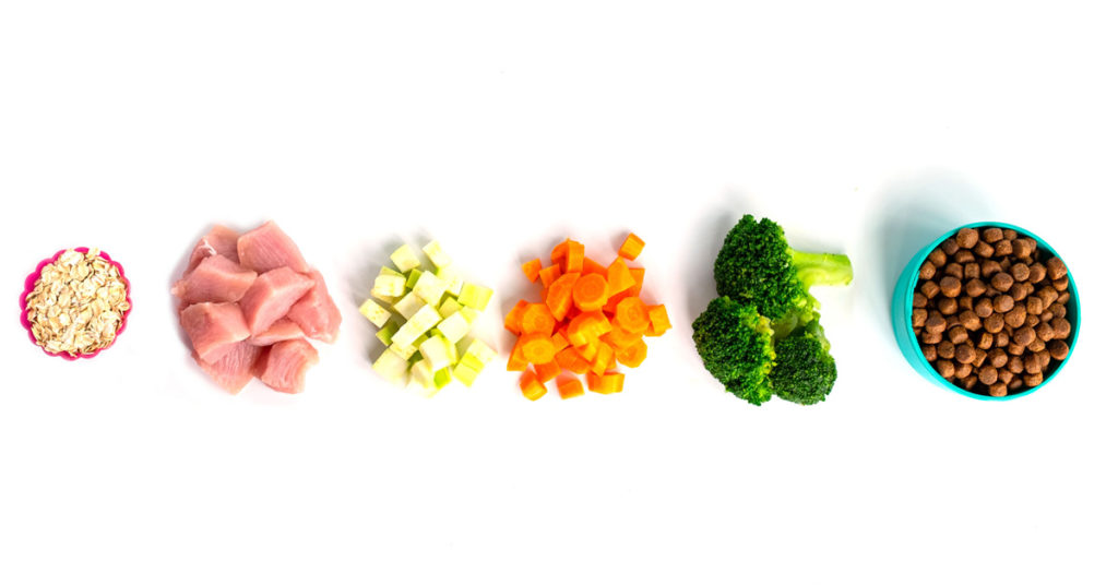 Groups of fresh ingredients including rice, lamb, carrots, and broccoli next to a bowl of pet food.