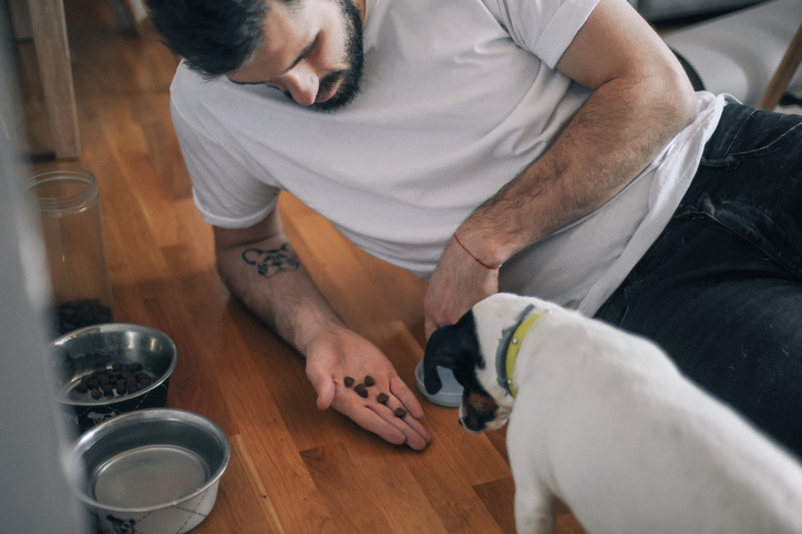 Young man feeding his dog, Jack Russel Terrier.